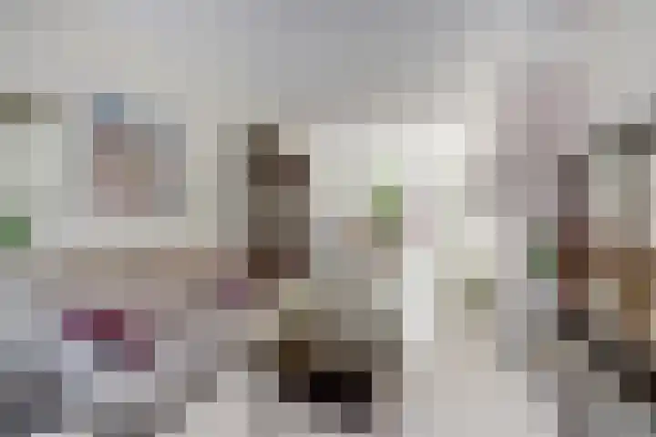 Bakhuizen van den Brinkstraat 6 Utrecht thumbnail 5