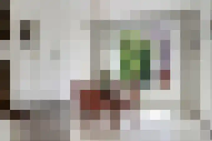 Bakhuizen van den Brinkstraat 6 Utrecht thumbnail 6