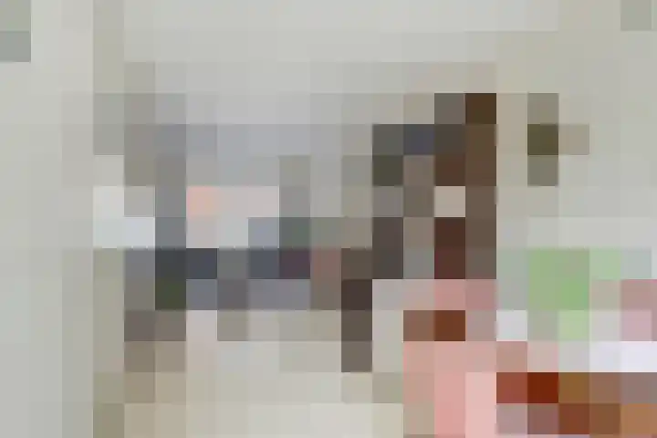 Bakhuizen van den Brinkstraat 6 Utrecht thumbnail 7