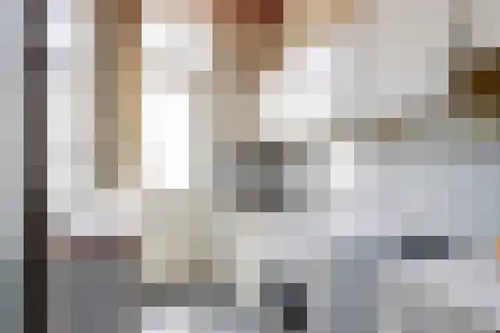 Bakhuizen van den Brinkstraat 6 Utrecht thumbnail 9