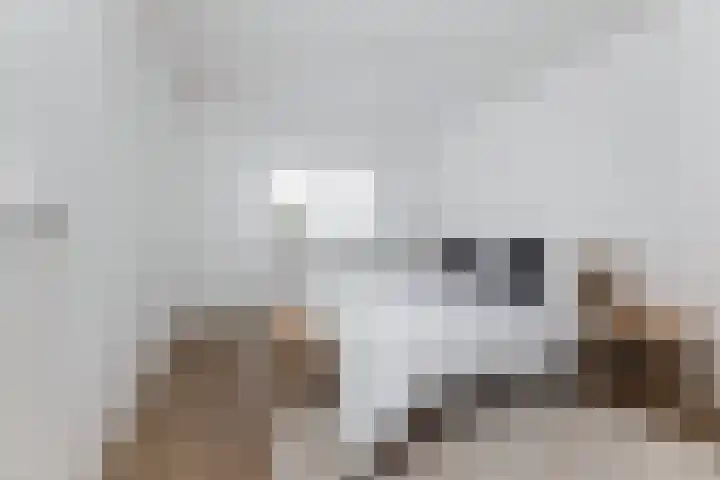 Bakhuus 23 a Wijhe thumbnail 16