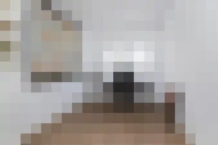 Bakhuus 23 a Wijhe thumbnail 17
