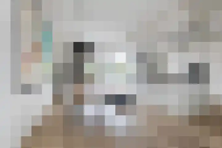Bakhuus 23 a Wijhe thumbnail 9