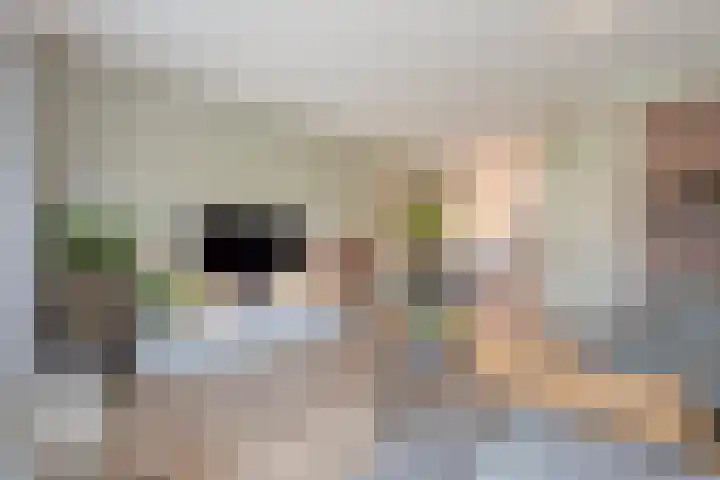 Bakhuus 47 Wijhe thumbnail 12