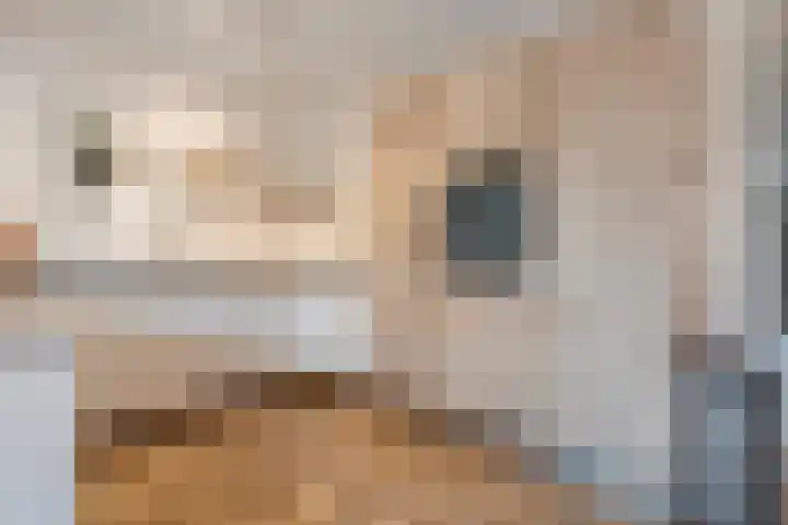 Bakhuus 47 Wijhe thumbnail 17