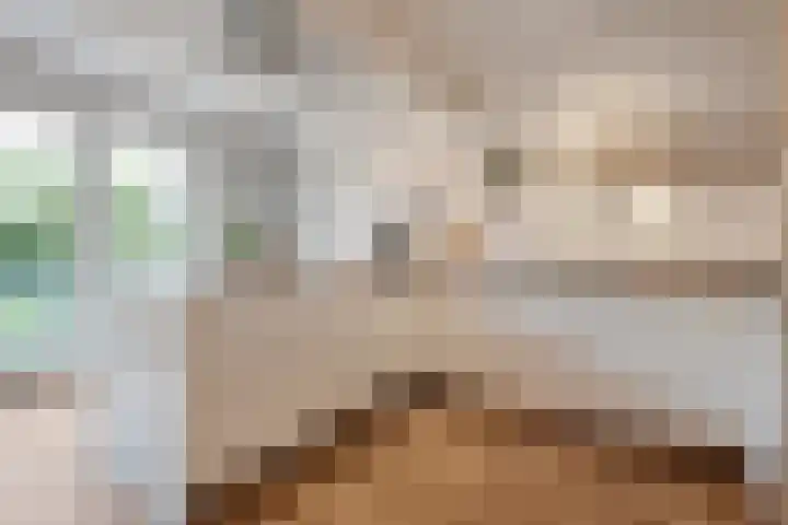 Bakhuus 47 Wijhe thumbnail 18