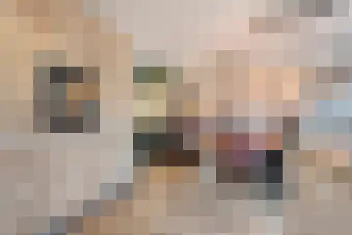 Bakhuus 47 Wijhe thumbnail 19