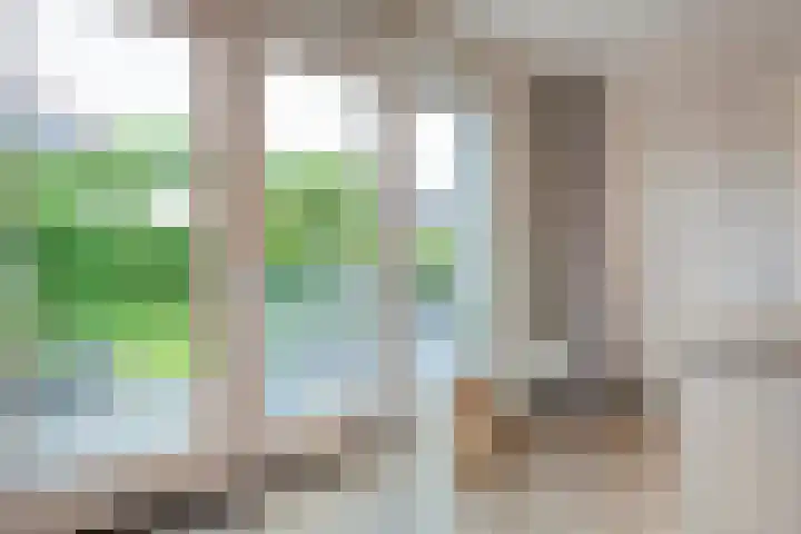 Bakhuus 47 Wijhe thumbnail 21