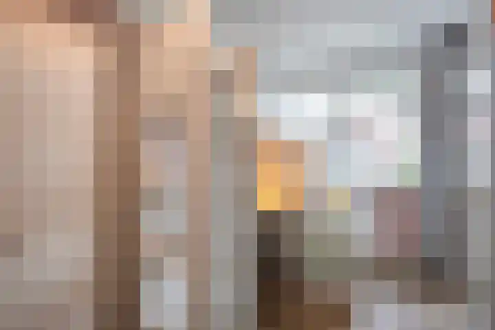 Bakhuus 47 Wijhe thumbnail 26