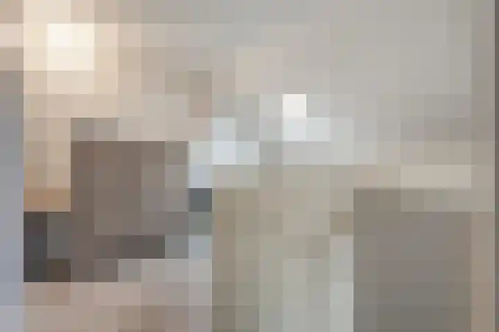 Bakhuus 47 Wijhe thumbnail 33