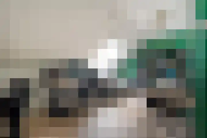 Bakhuus 47 Wijhe thumbnail 35
