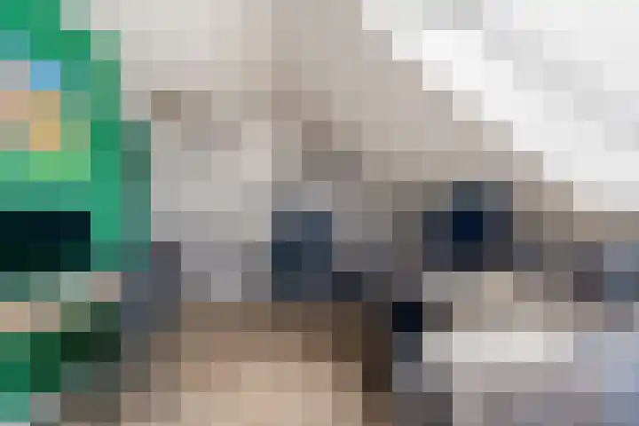 Bakhuus 47 Wijhe thumbnail 36