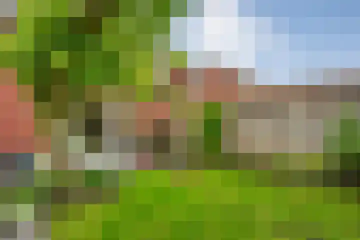 Bakhuus 47 Wijhe thumbnail 37