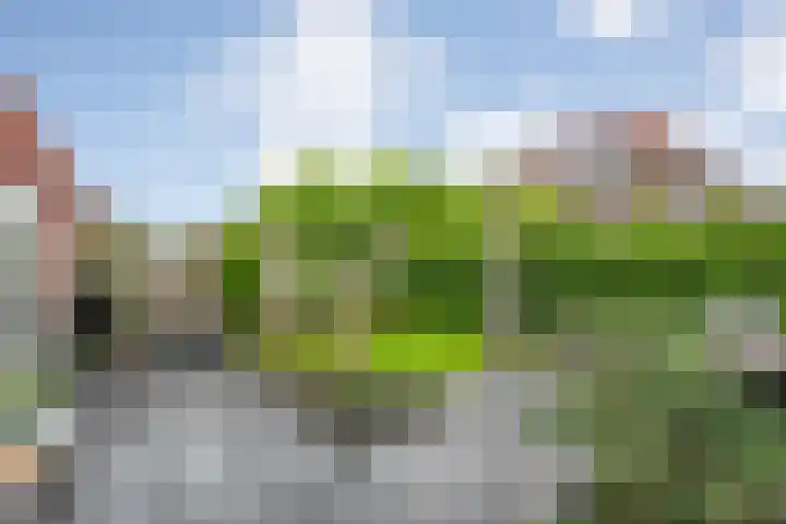 Bakhuus 47 Wijhe thumbnail 38