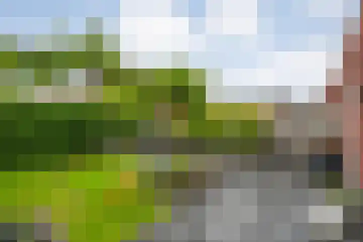 Bakhuus 47 Wijhe thumbnail 39