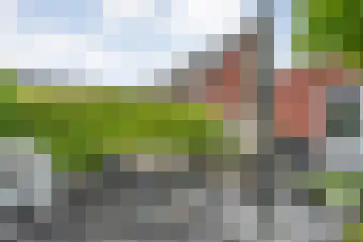 Bakhuus 47 Wijhe thumbnail 40