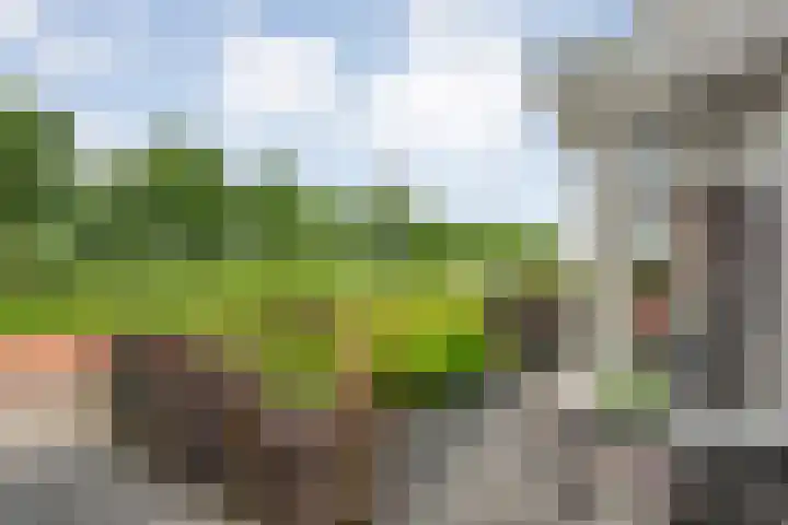 Bakhuus 47 Wijhe thumbnail 6