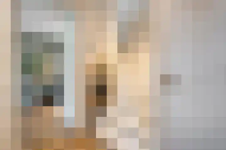 Bakhuus 47 Wijhe thumbnail 8