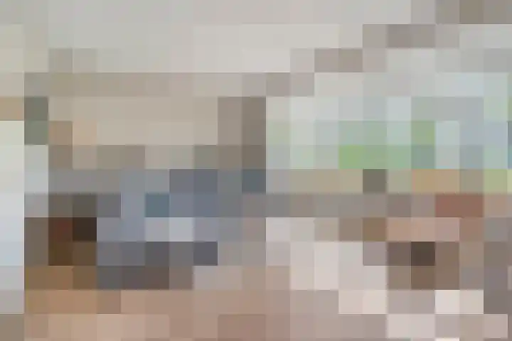 Bakhuus 51 Wijhe thumbnail 10