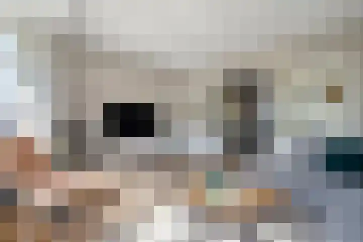 Bakhuus 51 Wijhe thumbnail 11