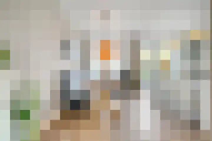 Bakhuus 51 Wijhe thumbnail 14