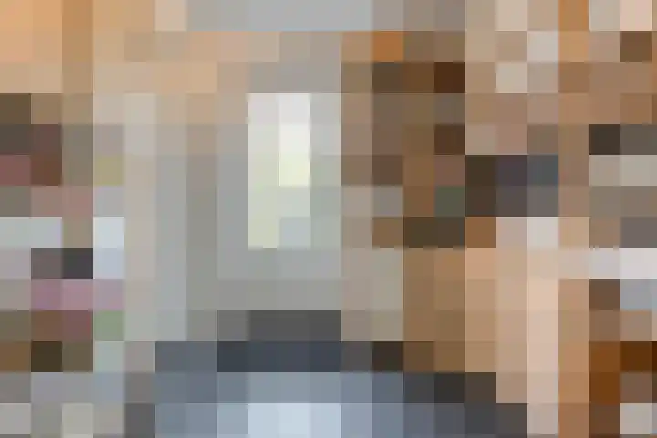 Bakhuus 51 Wijhe thumbnail 20
