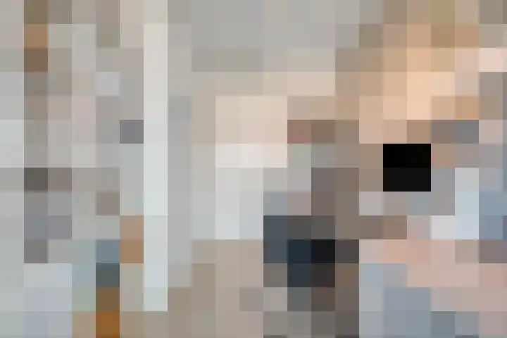 Bakhuus 51 Wijhe thumbnail 27