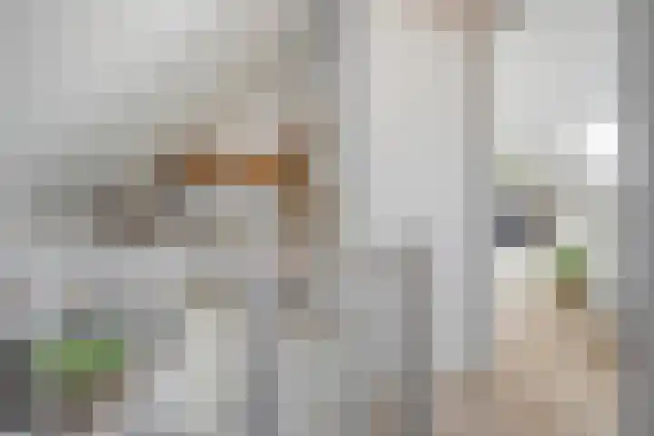 Bakhuus 51 Wijhe thumbnail 32