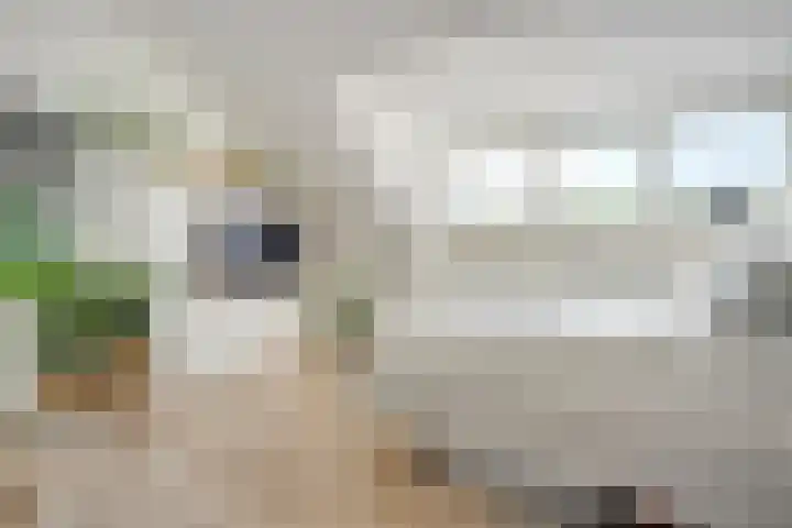 Bakhuus 51 Wijhe thumbnail 33