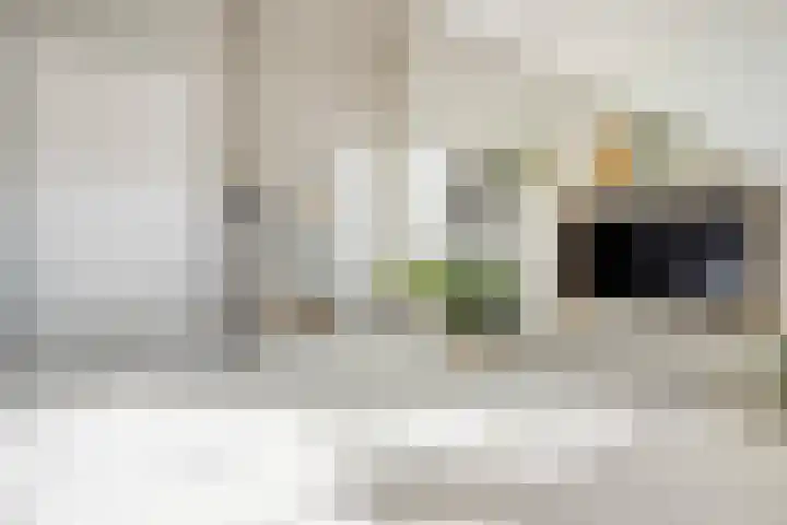 Bakhuus 51 Wijhe thumbnail 35