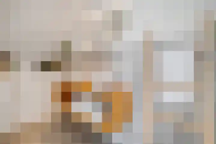 Bakhuus 51 Wijhe thumbnail 36