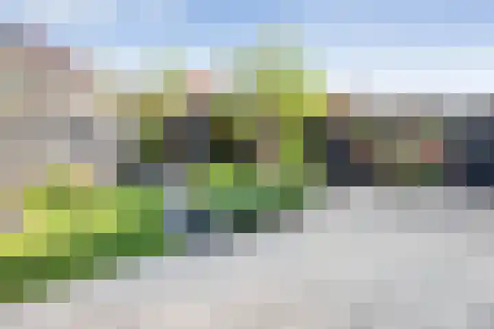 Bakhuus 51 Wijhe thumbnail 37