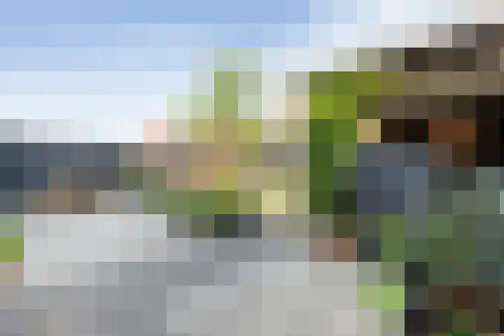 Bakhuus 51 Wijhe thumbnail 38