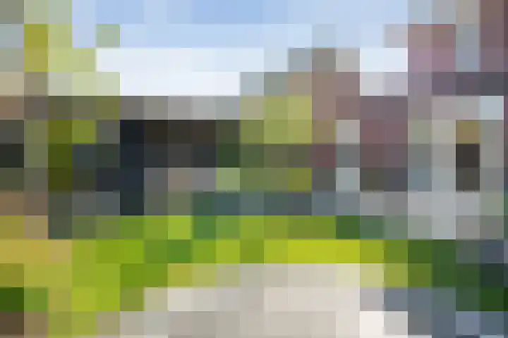 Bakhuus 51 Wijhe thumbnail 39