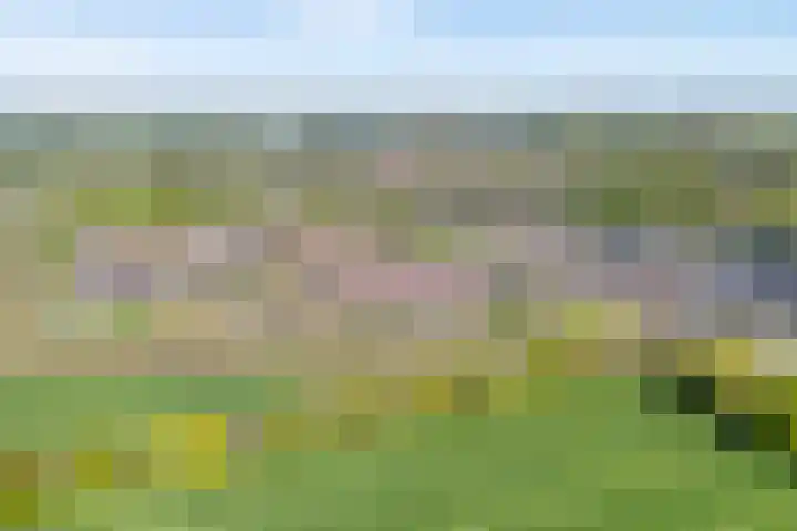 Bakhuus 51 Wijhe thumbnail 4