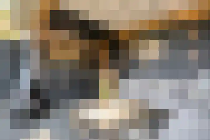 Bakhuus 51 Wijhe thumbnail 40