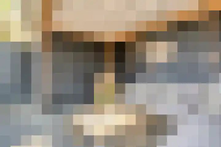 Bakhuus 51 Wijhe thumbnail 41