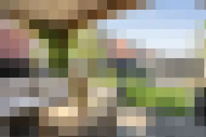 Bakhuus 51 Wijhe thumbnail 42
