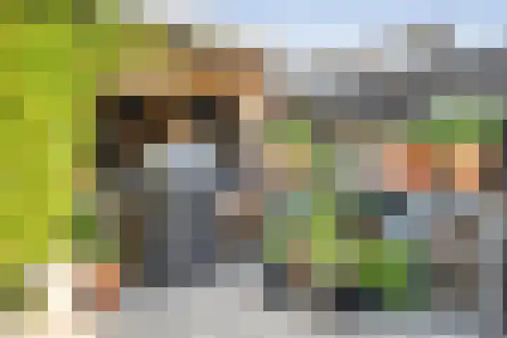 Bakhuus 51 Wijhe thumbnail 44
