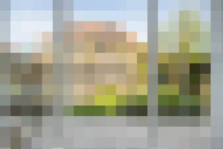 Bakhuus 51 Wijhe thumbnail 46