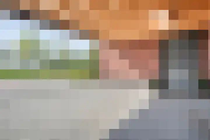 Bakhuus 51 Wijhe thumbnail 5