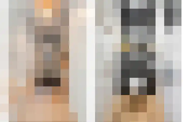 Bakhuus 51 Wijhe thumbnail 6