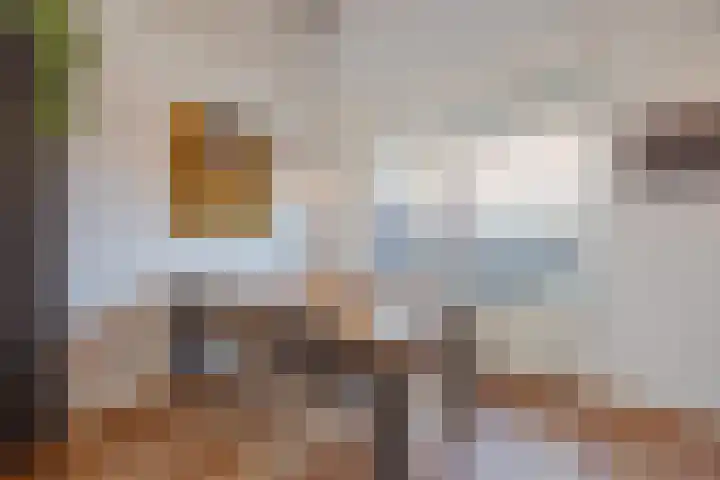 Bakhuuske 41 Hegelsom thumbnail 14