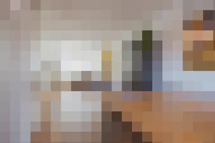 Bakhuuske 41 Hegelsom thumbnail 15