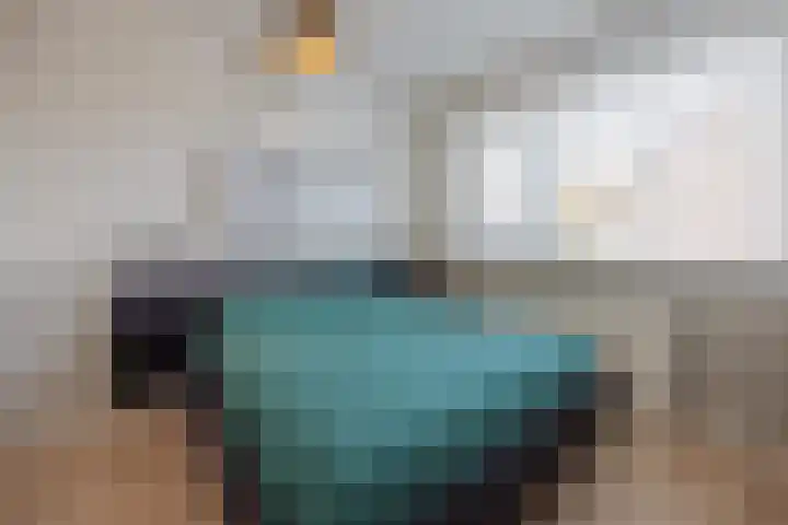 Bakhuuske 41 Hegelsom thumbnail 20