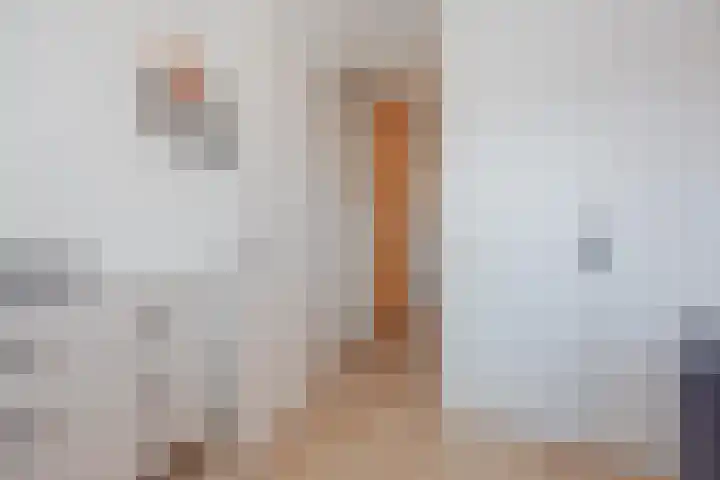 Bakhuuske 41 Hegelsom thumbnail 25