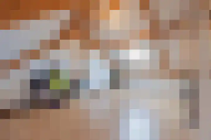Bakhuuske 41 Hegelsom thumbnail 28