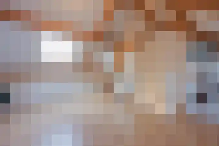 Bakhuuske 41 Hegelsom thumbnail 29