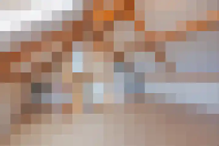 Bakhuuske 41 Hegelsom thumbnail 30