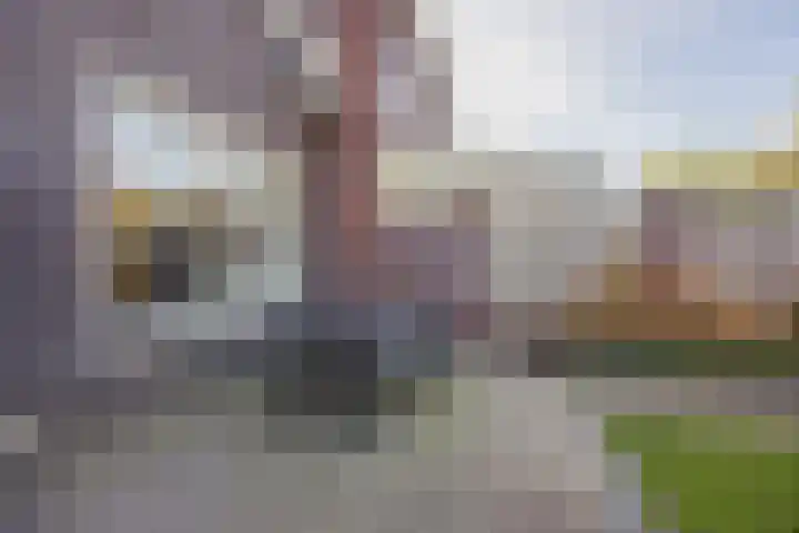 Bakhuuske 41 Hegelsom thumbnail 31